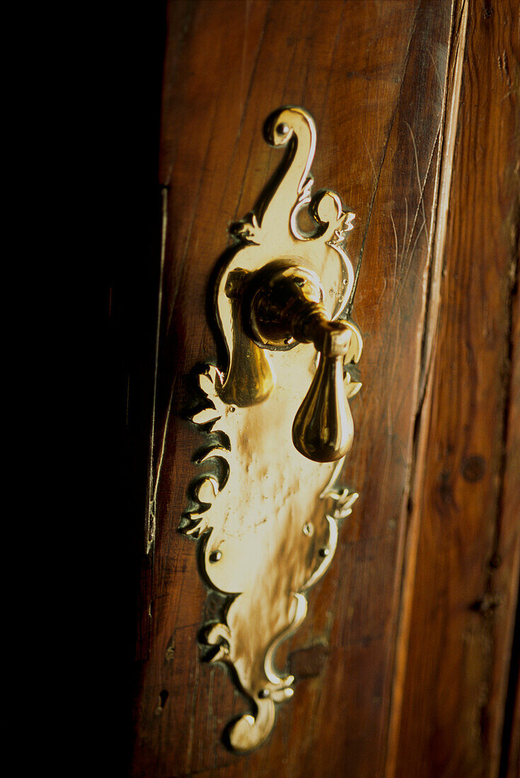 Ornate handle on wood door