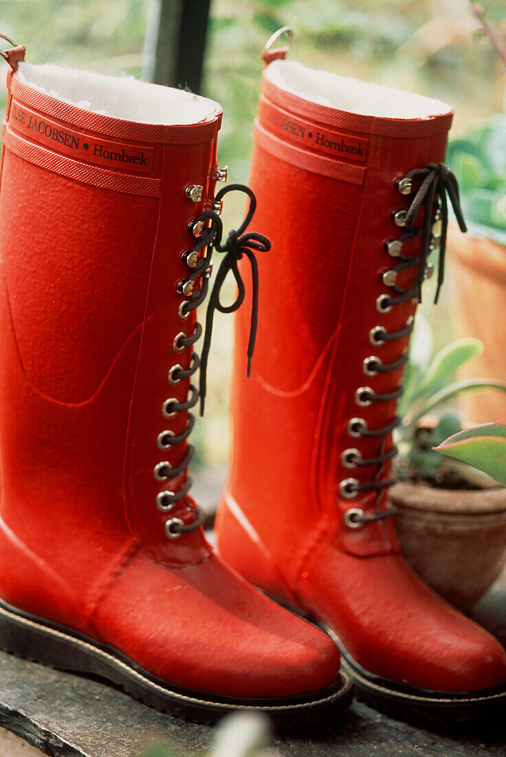 Pair of red lace up wellington boots taken off in a greenhouse