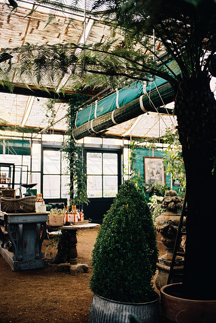 Restaurant und Café in einem großen Gewächshaus mit botanischer Ausstellung