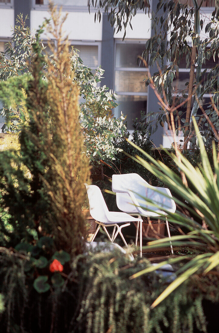 Kleiner, moderner, grüner, geschützter Garten mit weißen Gartenstühlen