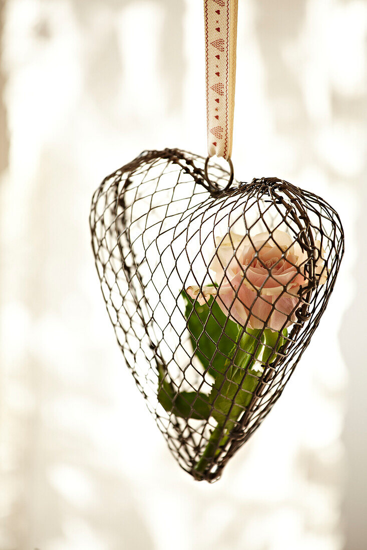 Single stem rose in a metal heart