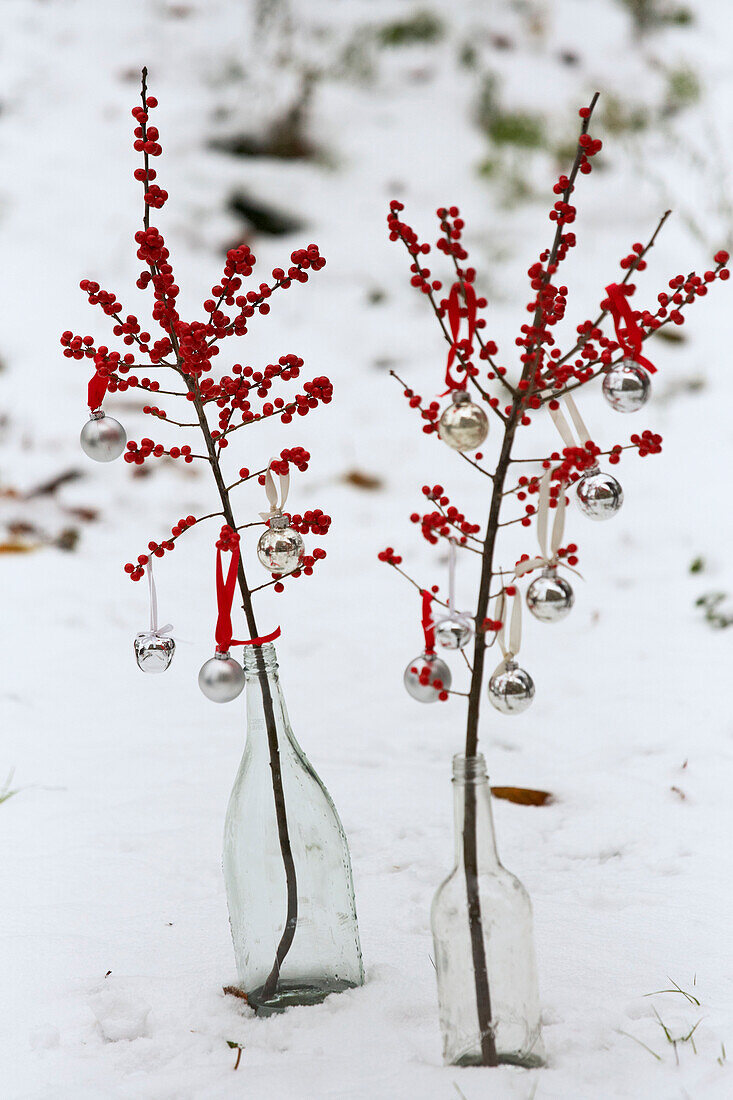 Zweige mit roten Beeren in einer Glasmilchflasche auf verschneitem Boden