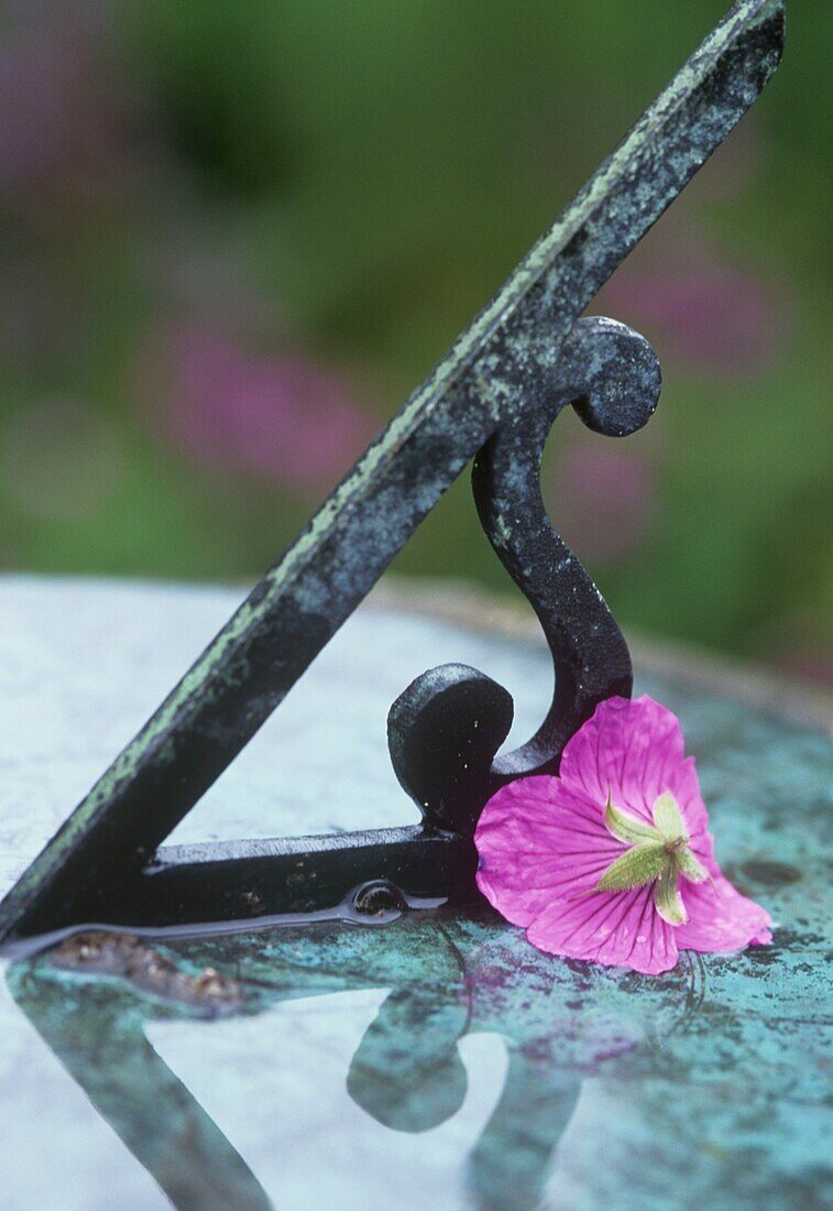 Flower head close to metal shape on marble