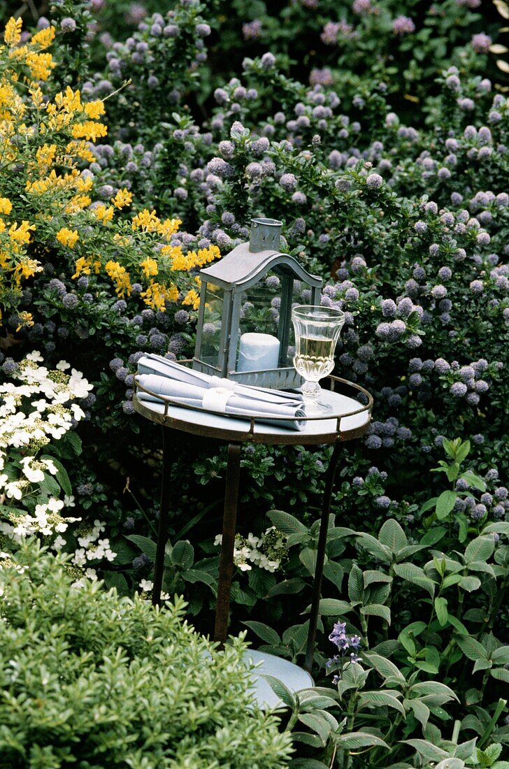 Garden table among blossom bush