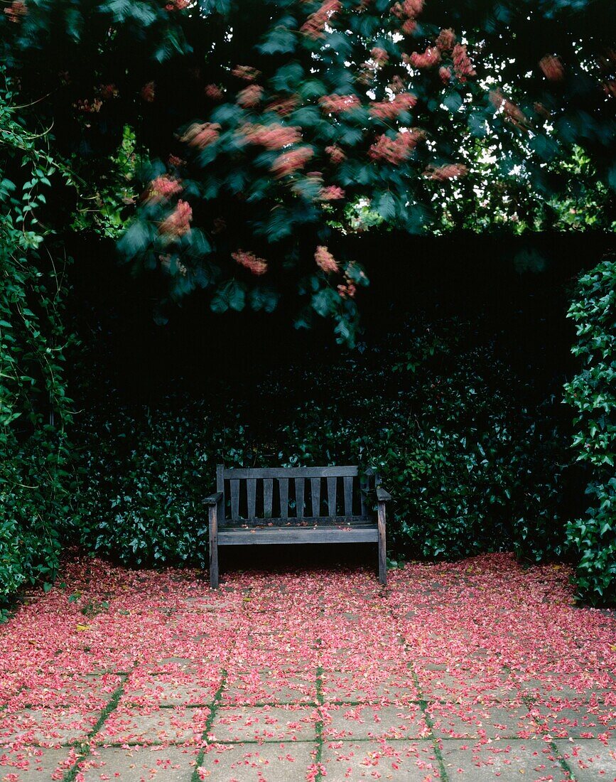 Gartenbank mit abgefallener Blüte in einer ruhigen Gartenecke