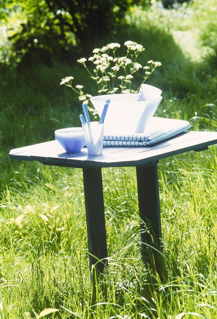Hölzerner Picknicktisch mit blauem und weißem Picknickgeschirr im überwucherten Garten