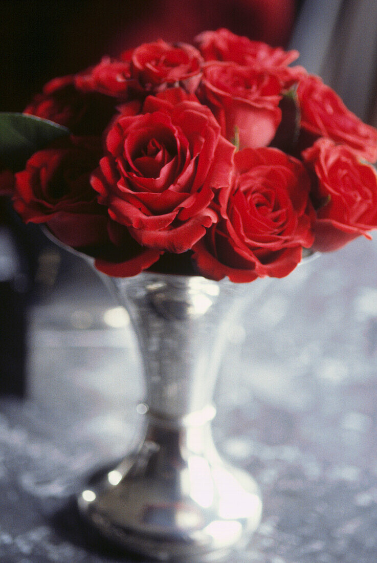 Velvety pink modern tea roses in silvered glass vase
