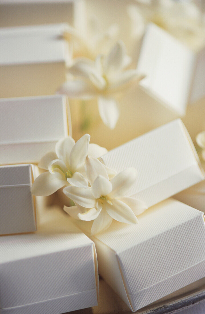 Winzige weiße Blumen auf weißen Gastgeschenkboxen