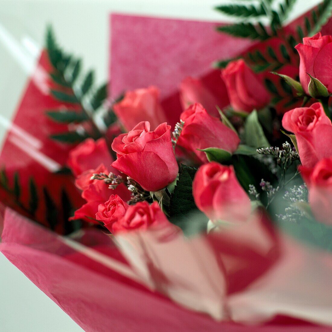Eingepackter Blumenstrauß aus roten Rosen