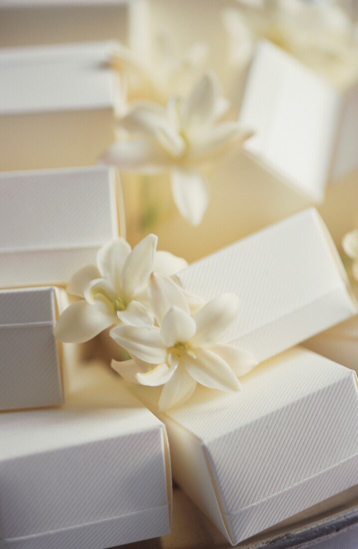 Winzige weiße Blumen auf weißen Geschenkboxen