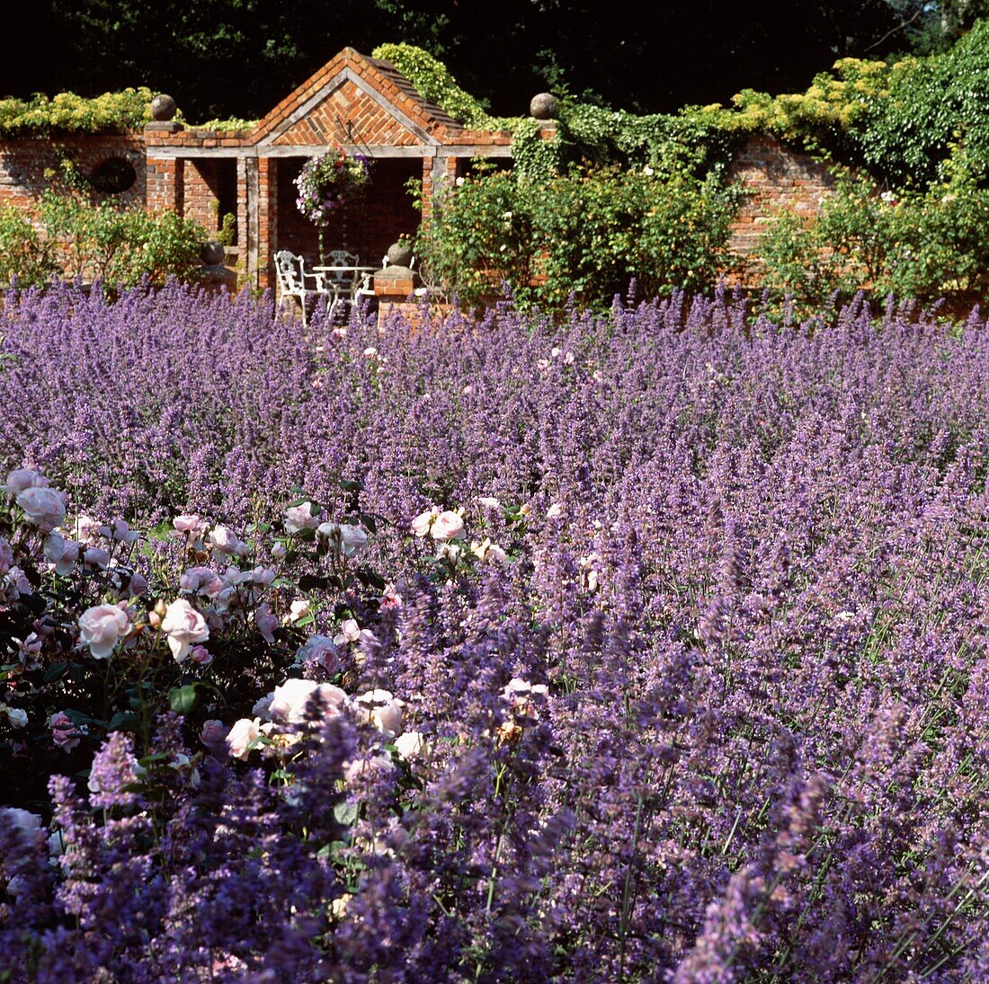 Stühle in einem gemauerten Gartenhaus und einem Lavendelfeld