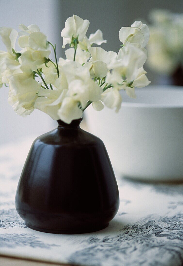 Vase of white flowers
