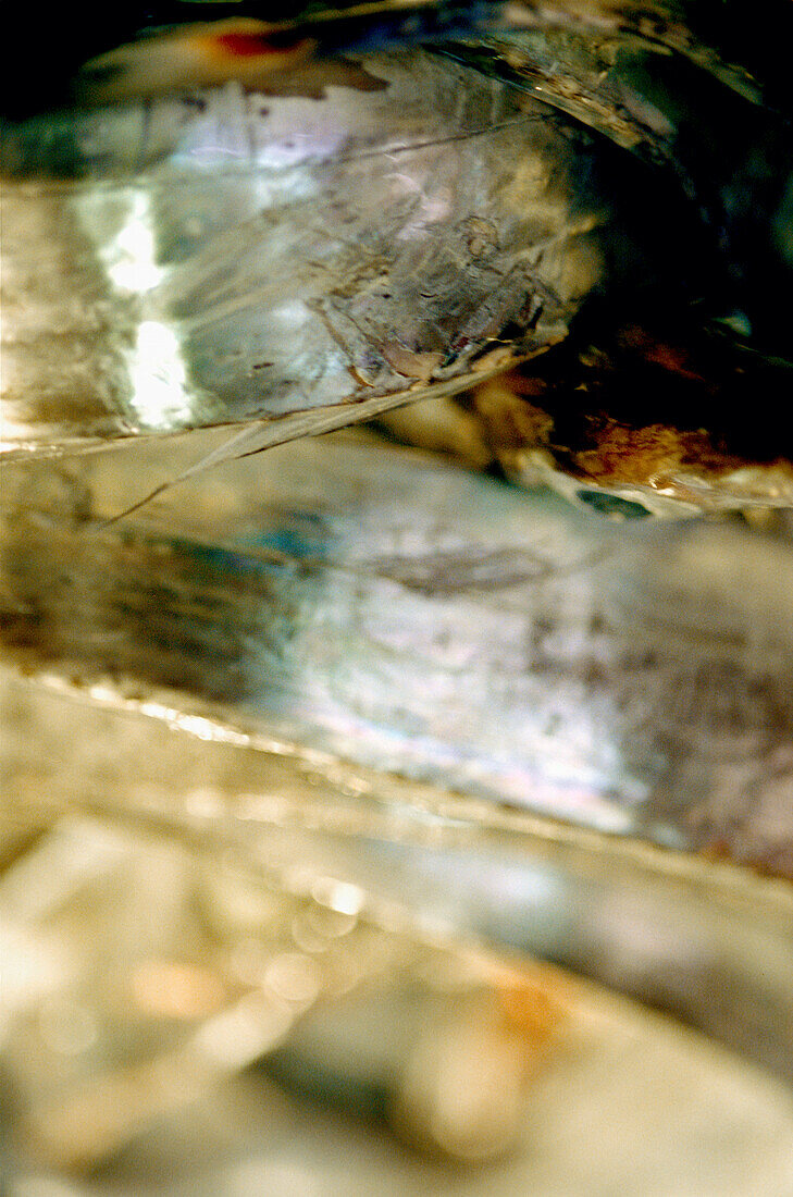 Silberne Aale auf einem Fischstand auf dem Markt in Salamanca