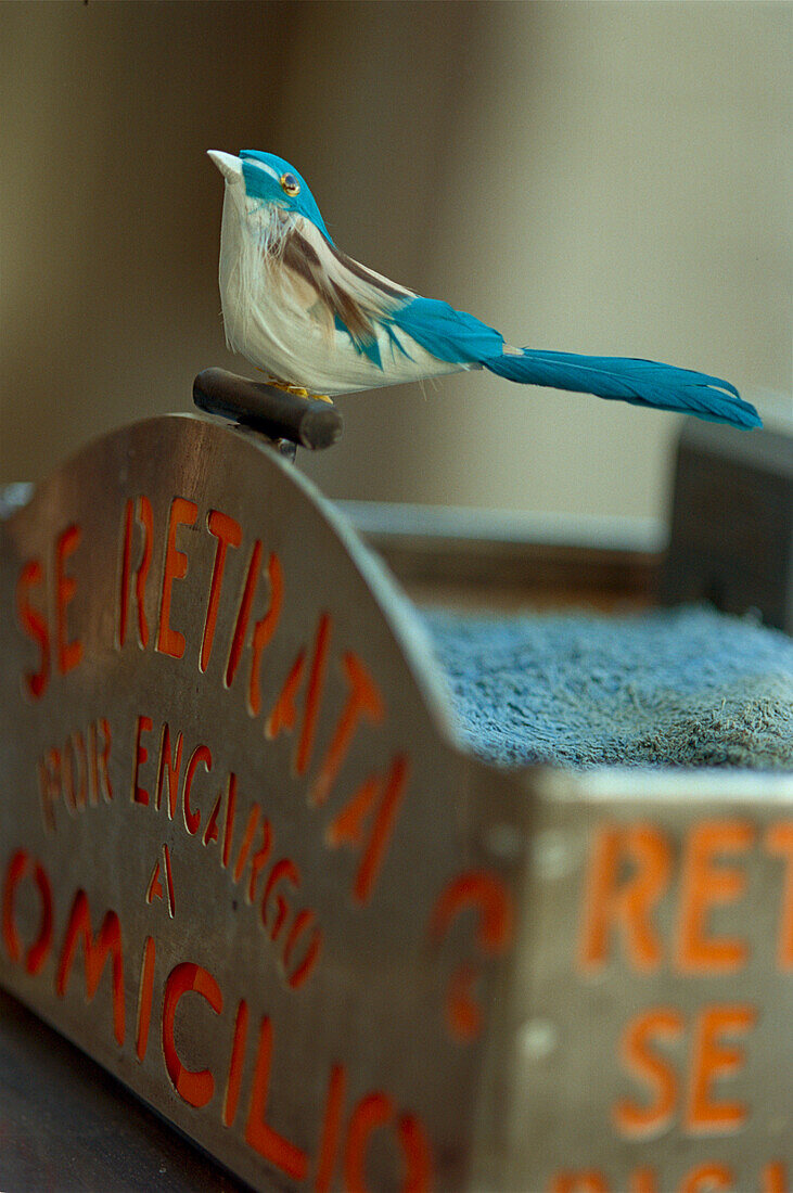 Blauer und weißer Vogel aus Federn auf der Kamerabox eines Straßenfotografen