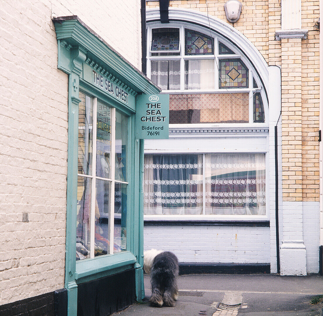 Die Sea Chest Ladenfront in Bideford mit Hund