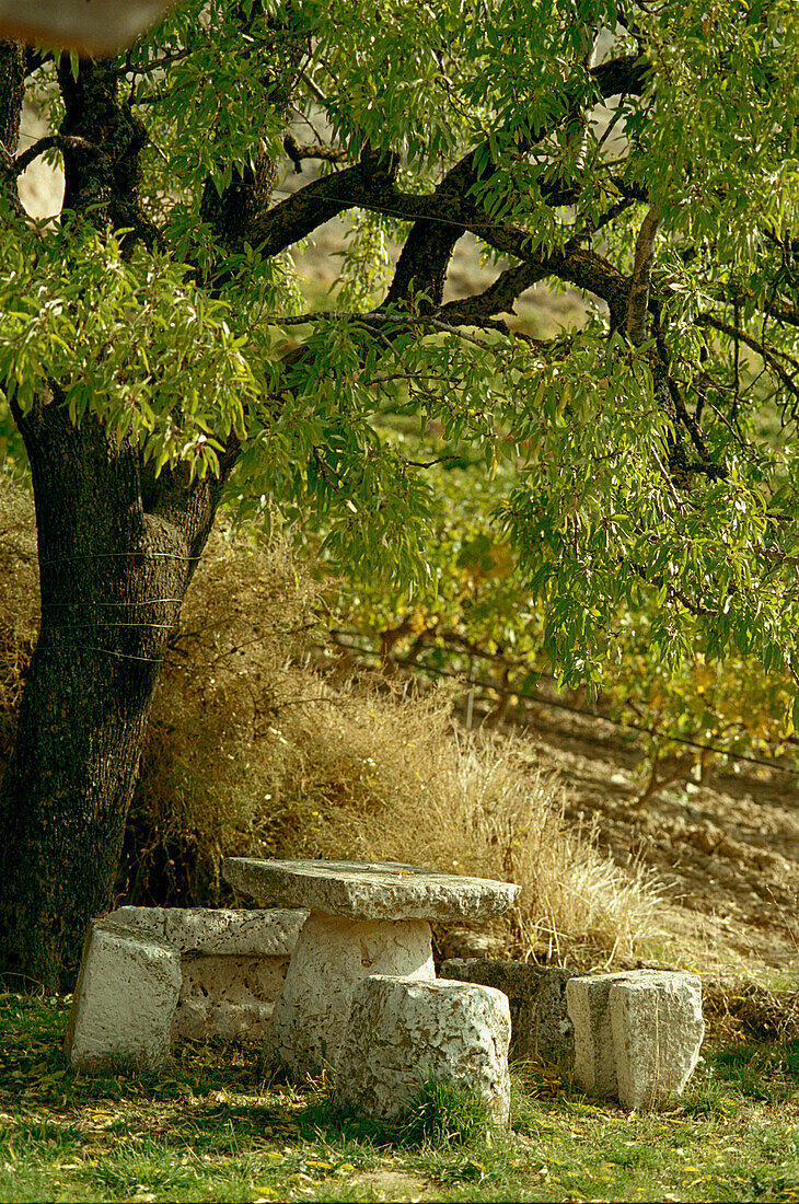 Picknicksitz und Tisch aus Stein am Straßenrand in der Nähe von Rioja