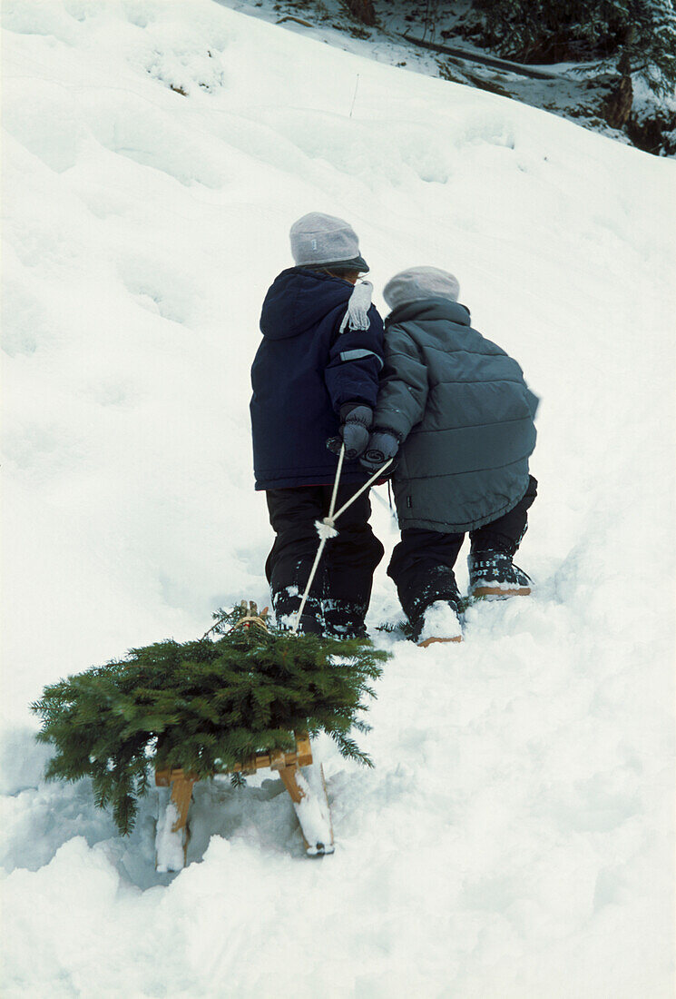 Zwei Kinder ziehen einen Holzschlitten mit Weihnachtsbäumen