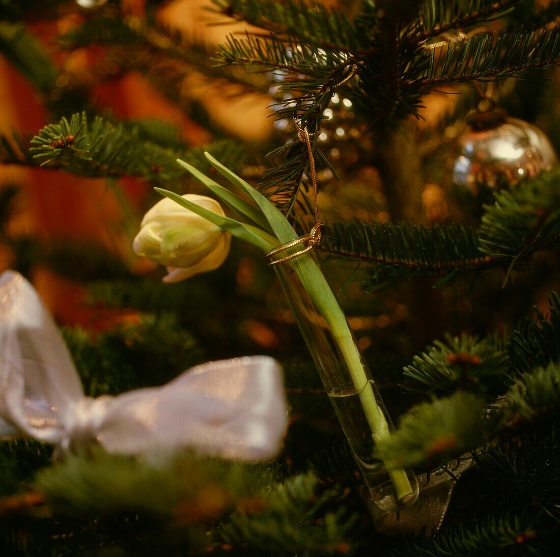 Einstielige Blume hängt am Weihnachtsbaum