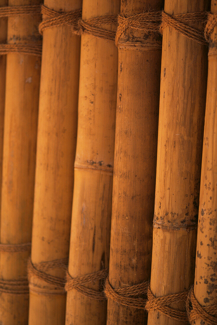 Bambus-Zaun