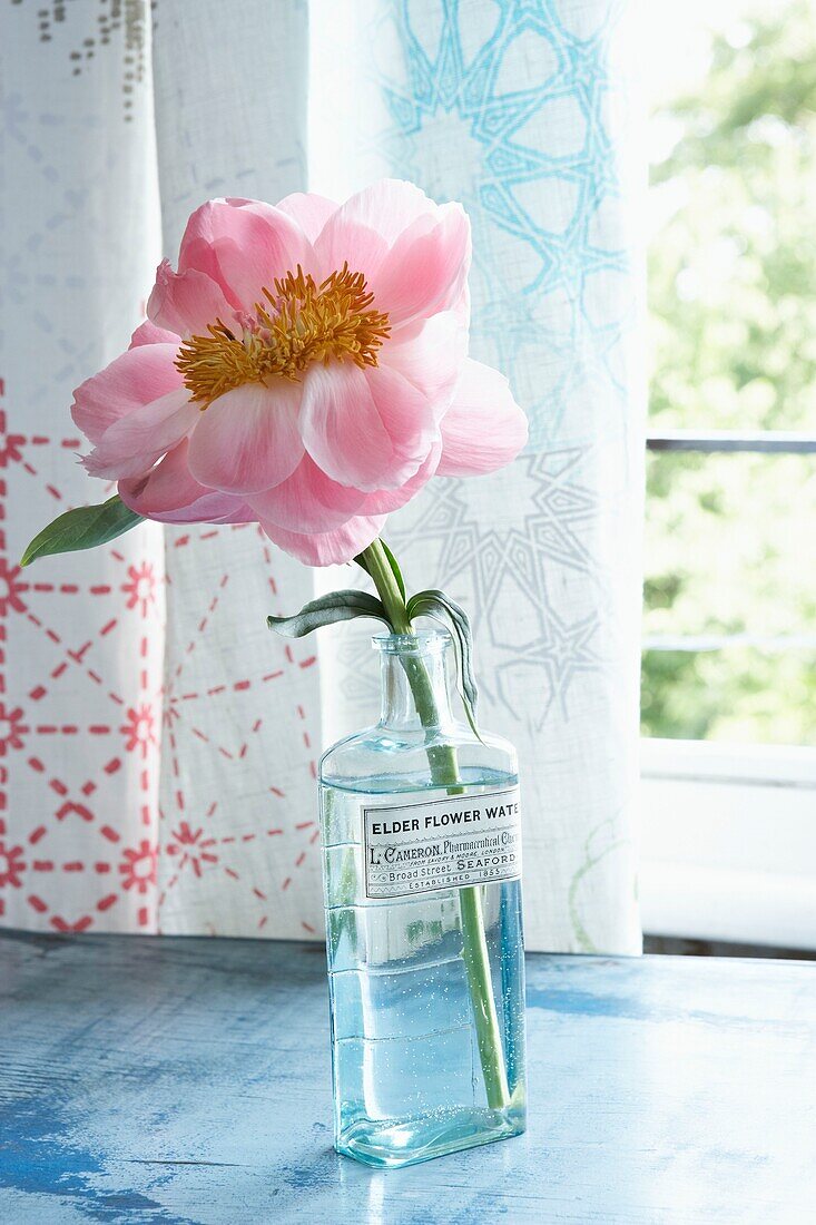 Einstielige Blume in Glasflasche auf Londoner Fensterbank