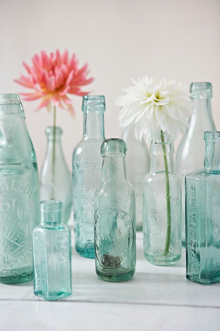 Einstielige Blumen in alten Flaschen