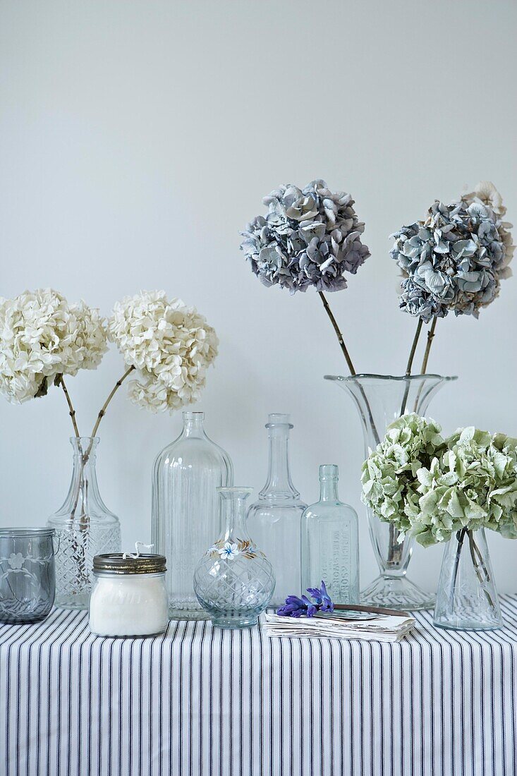 Dried hydrangeas in vintage bottles on striped tablecloth