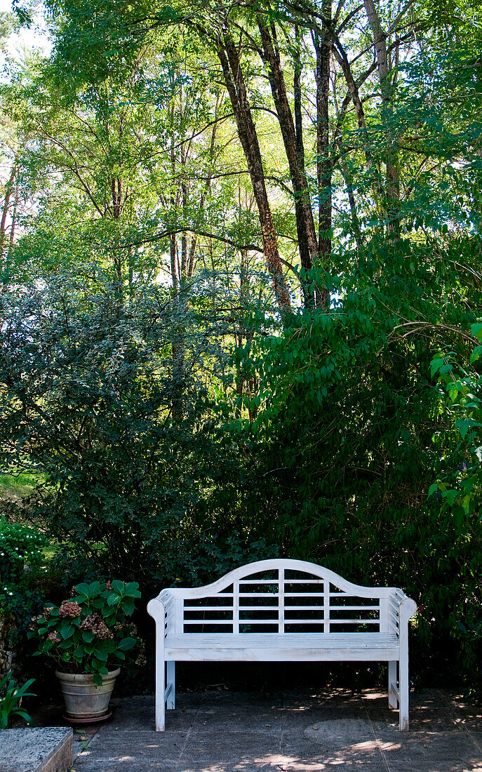 White bench in garden