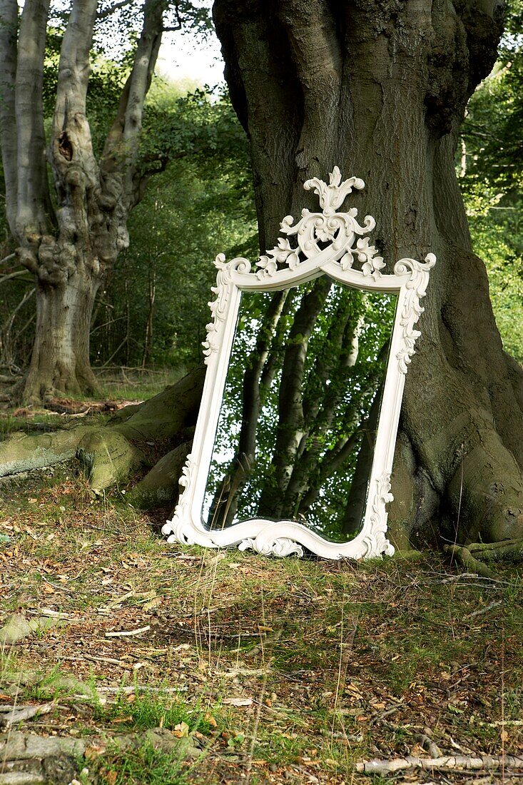 Verschnörkelter übergroßer Spiegel in Waldumgebung