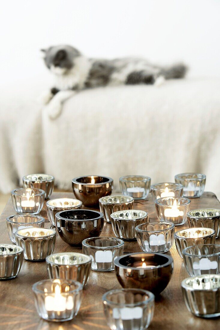 Tischplatte mit einer großen Gruppe funkelnder Teelichter und einer unscharfen Katze, die auf einer Decke im Hintergrund liegt