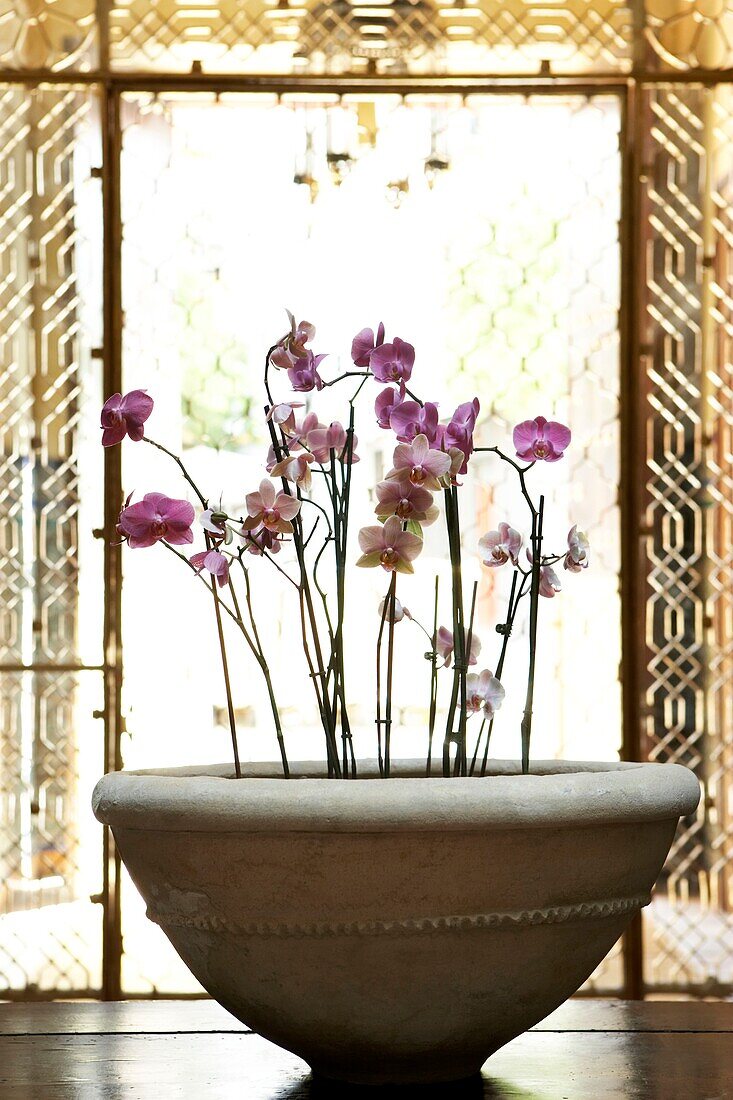 Großes Pflanzgefäß mit Orchideen vor einem orientalischen Fensterschirm