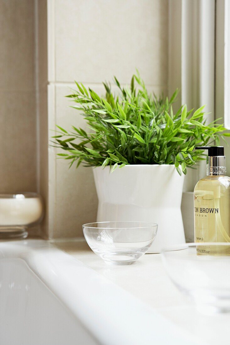 Houseplant with soap in London bathroom