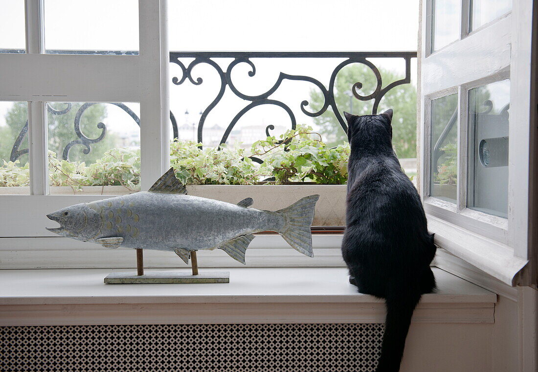 Schwarze Katze sitzt auf dem Fenstersims neben einem montierten Fisch, Wohnhaus in Bordeaux, Aquitanien, Frankreich