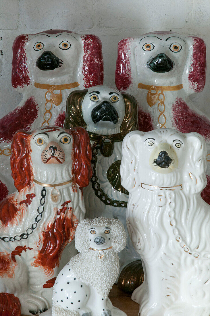 China dog collection in Dorset home  Kent  UK
