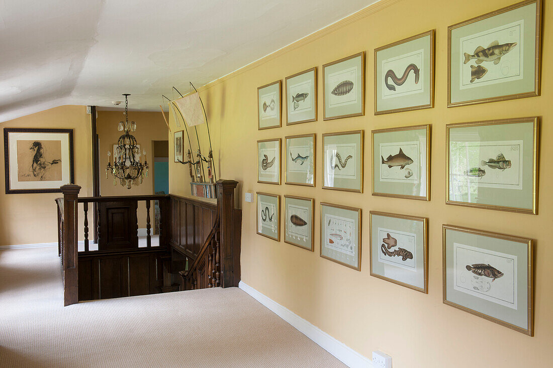 Framed artwork and wooden banister in spacious hallway of Suffolk farmhouse  England  UK