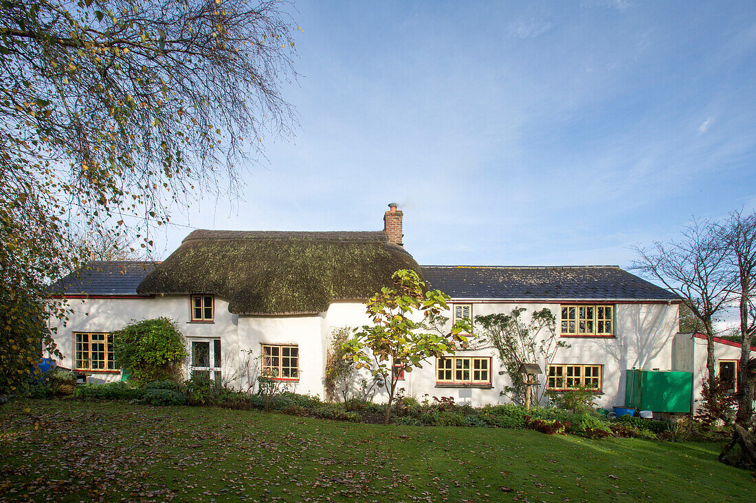 Weiß getünchte Außenfassade und Herbstgarten eines reetgedeckten Cottages in Devon, England, UK