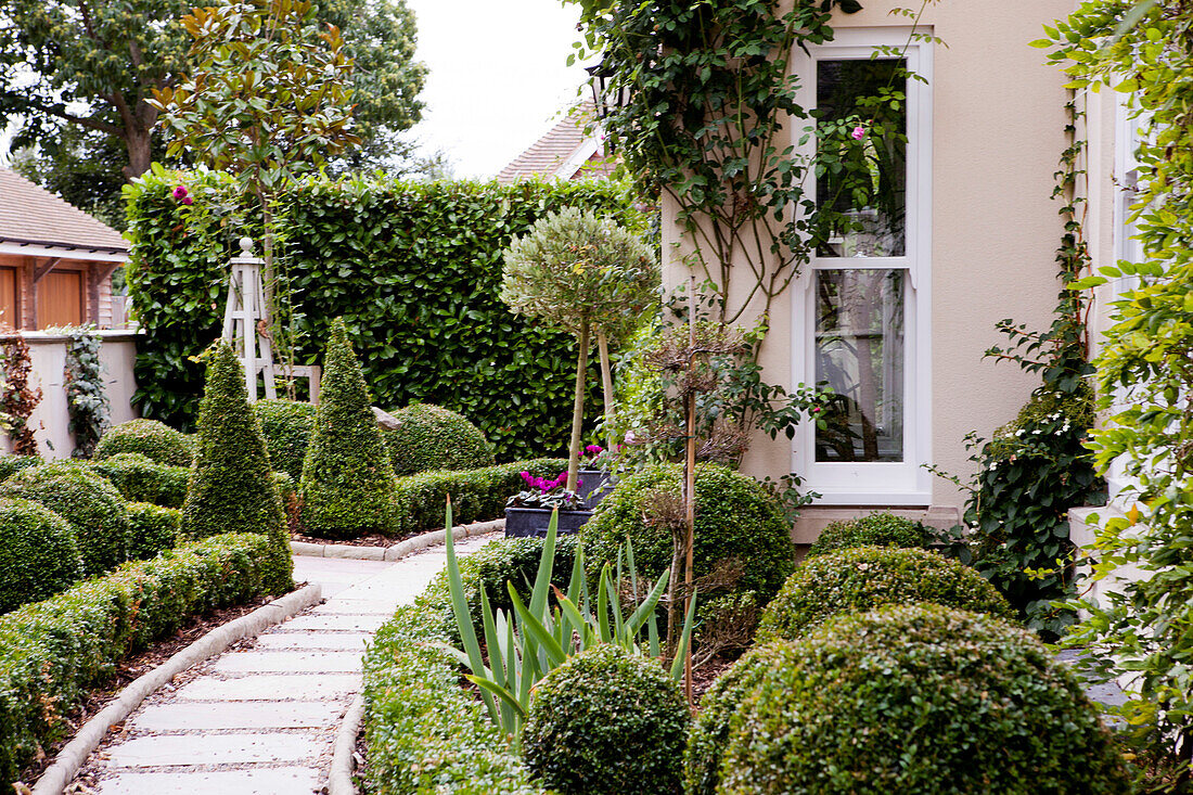 Seitenweg mit Formschnitt im Garten eines Hauses in Amberley, West Sussex, England, Vereinigtes Königreich