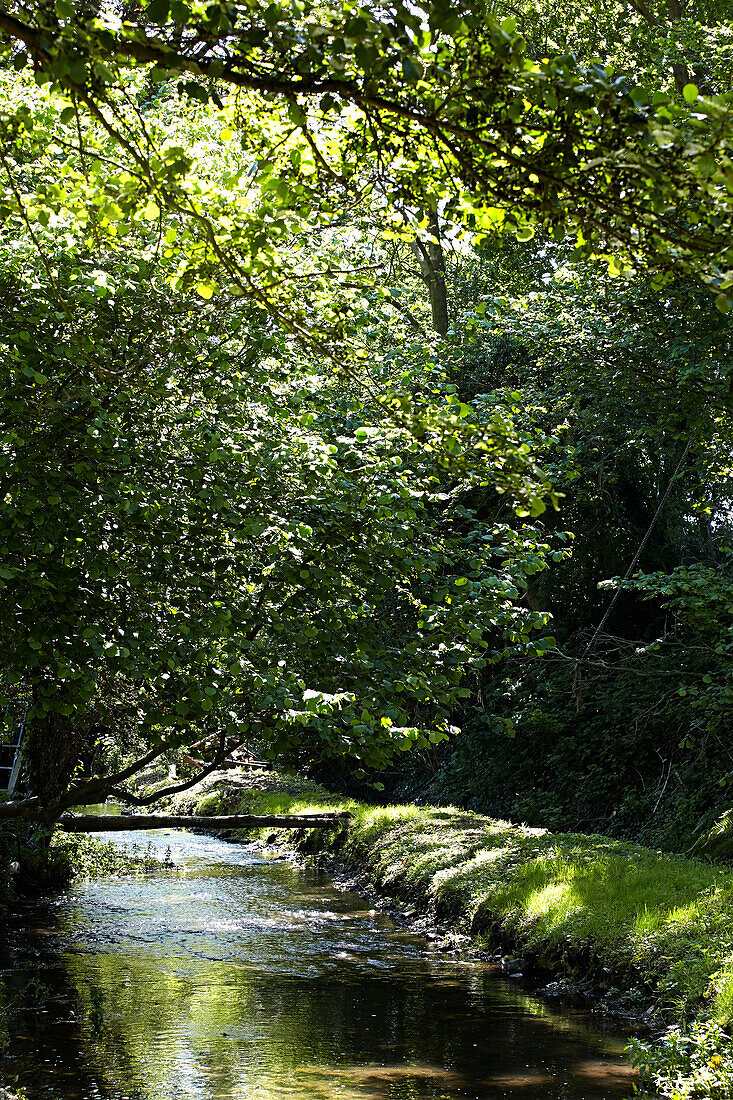 Fußweg über einen Fluss im Schatten von Bäumen in ländlicher Umgebung in Großbritannien