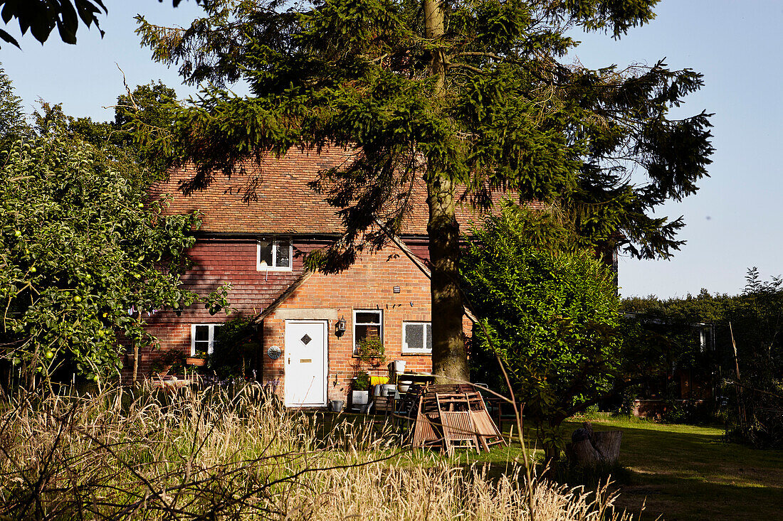 Brick facade of Brabourne farmhouse with pine tree,  Kent,  UK