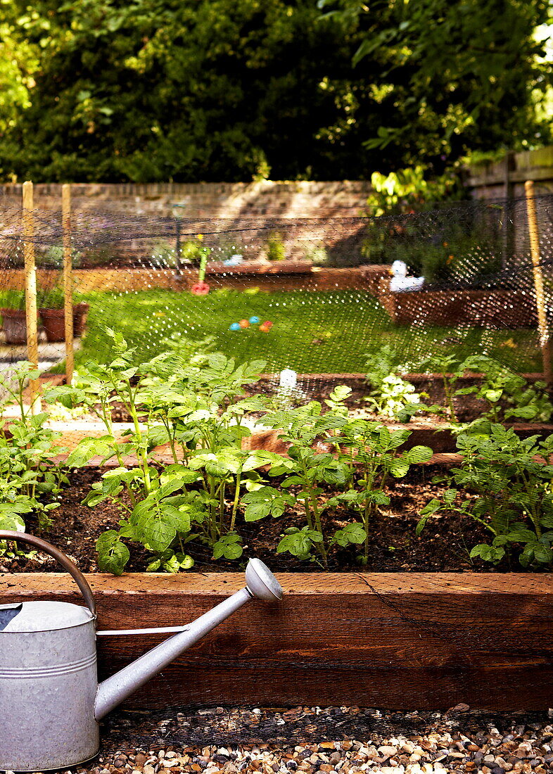 Gießkanne und Hochbeete im Garten vor einem Londoner Einfamilienhaus England UK