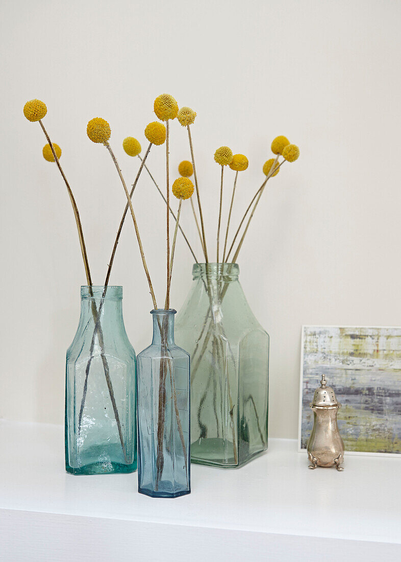 Gelbe Trockenblumen in einstieligen Vasen in einem modernen Londoner Haus England UK
