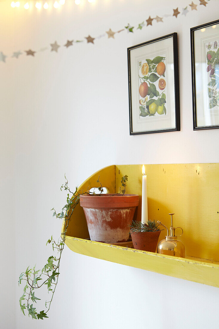 Beleuchtete Kerze und Efeu auf gelbem Regal mit botanischen Drucken in einer Londoner Wohnung UK