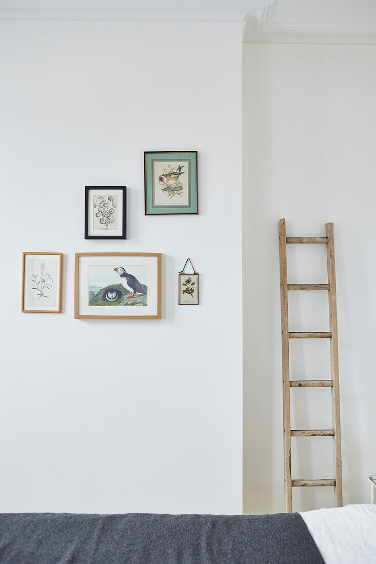 Gerahmte Bilder und Leiter mit grauer Decke auf einem Doppelbett in einer Londoner Wohnung UK