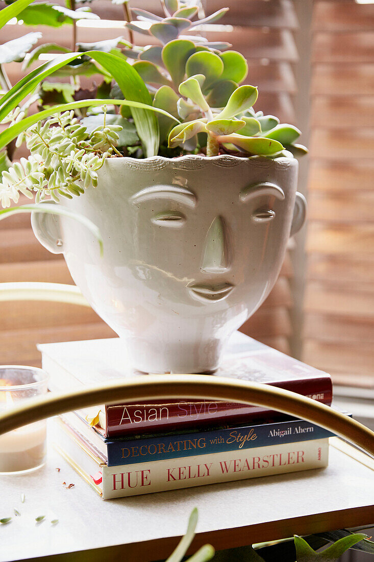 Succulent plants in novelty pot with books in East London townhouse  England  UK