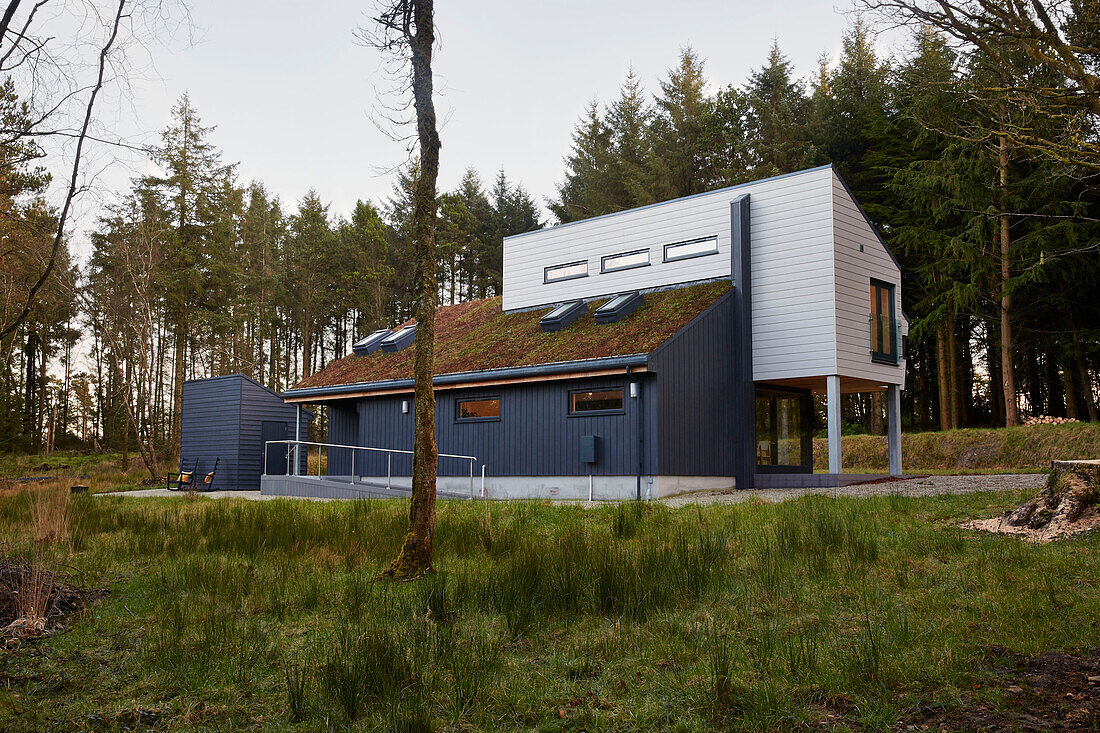 Fassade eines Neubaus mit Grasdach in einem Waldgebiet in Devon UK