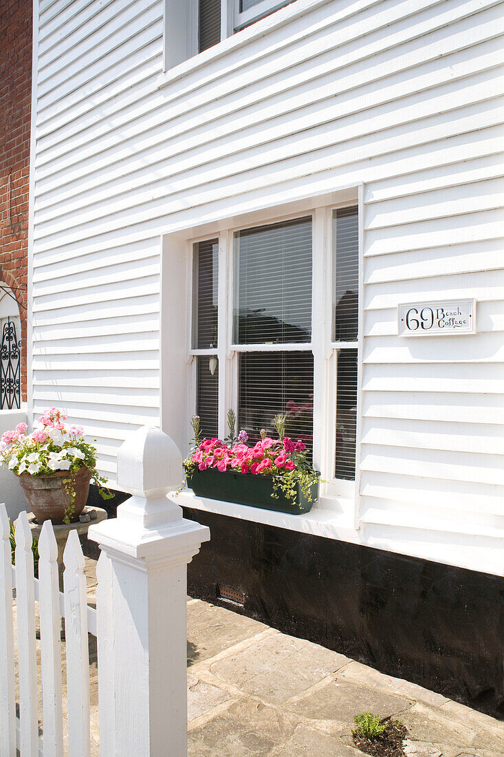 White weatherboard exterior of Brighlingsea cottage and picket fence with window boxes