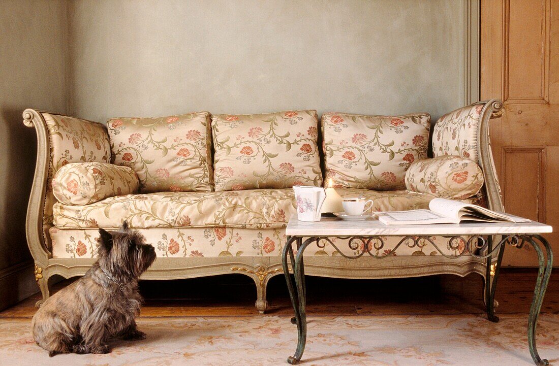Großes Tagesbett im Louis-XVI-Stil mit Original-Seidenbezug im Wohnzimmer mit Cairn Terrier