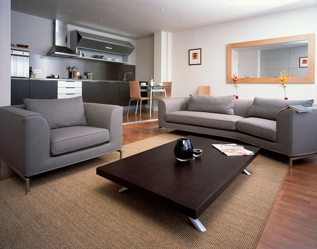 Kleine Wohnung mit Küche, Esszimmer und Wohnbereich in neutralen Grautönen