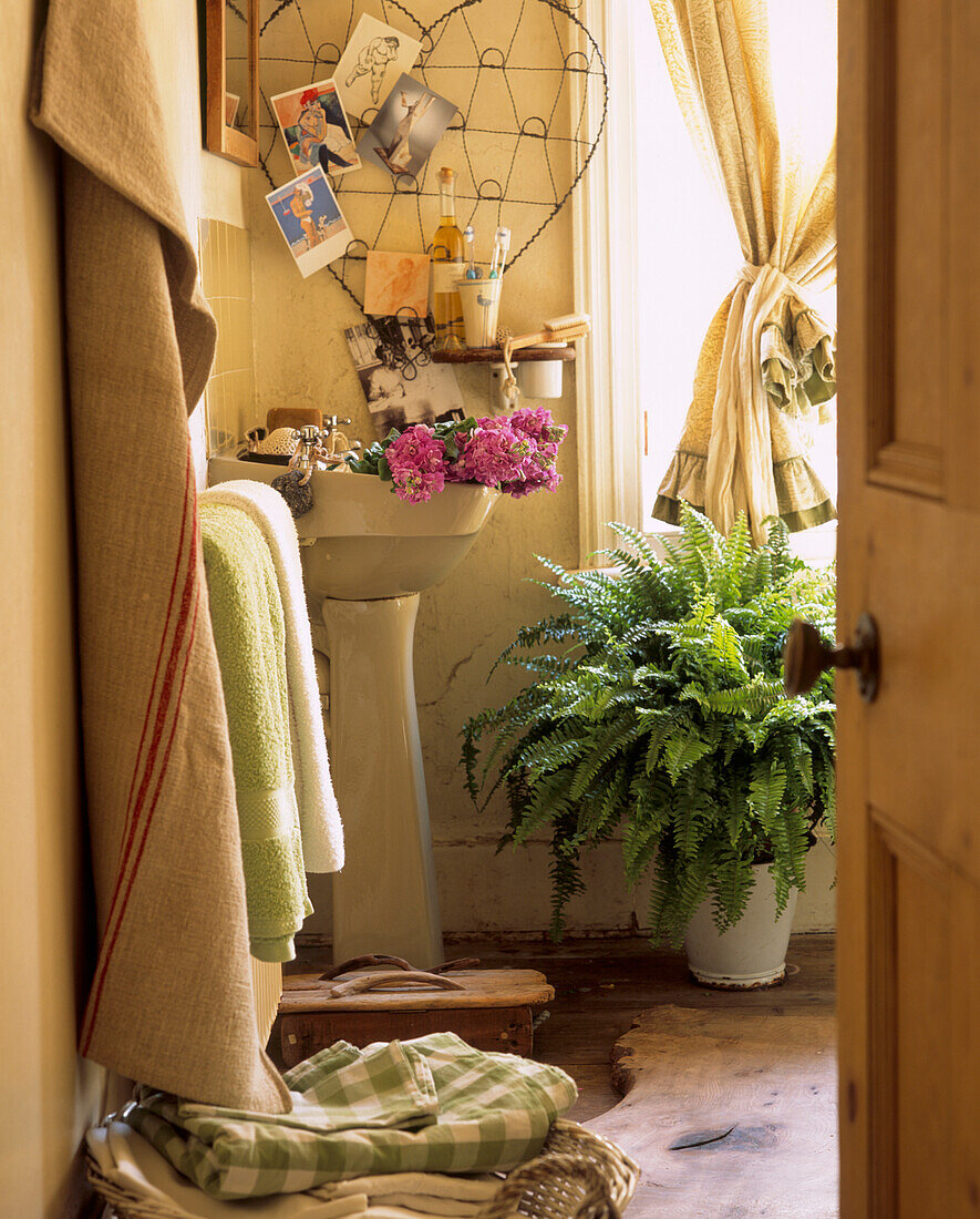 Badezimmer in Avocadogrün mit Vintage-Look, gefüllt mit Pflanzen, Blumen und Erinnerungsstücken