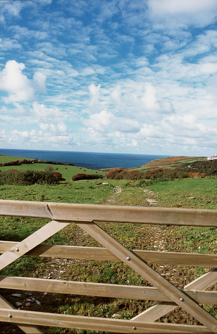 Blick über das Tor auf ein grünes Feld mit der Küste dahinter