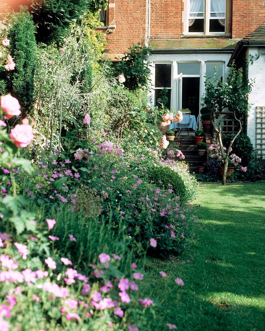 Hinterer Hausgarten mit Rasen, Blumenbeeten und Treppe zur Hintertür